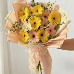 gerberas