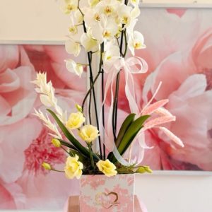 orquidea