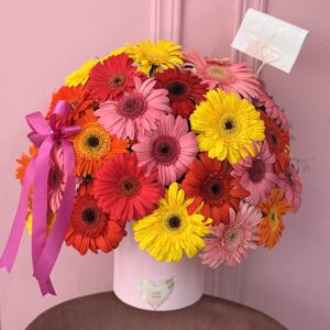 caja gerberas