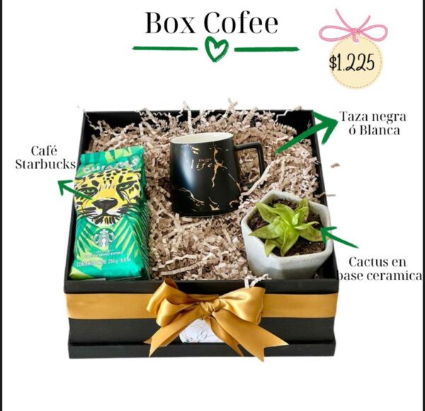 Caja regalo con Cafe taza y Cactus