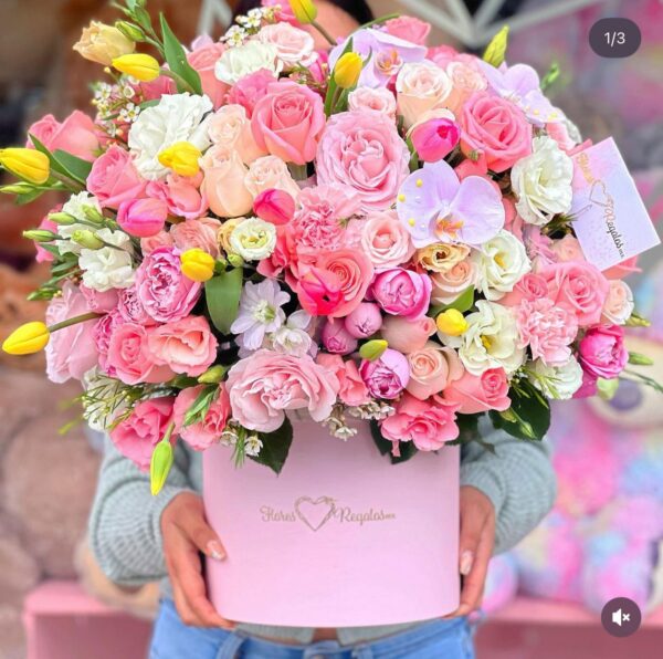 Box de 100 flores finas