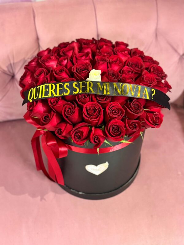 Box de 48 rosas rojas con liston