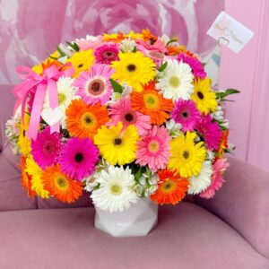 Box de 48 gerberas