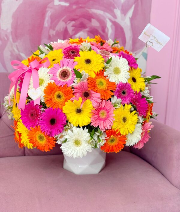 Box de 48 gerberas