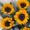 girasoles