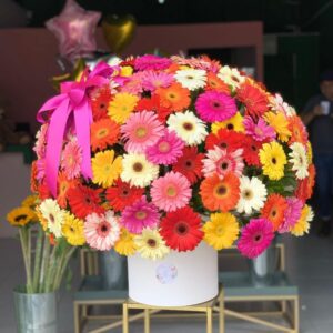 caja de gerberas